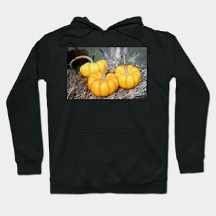 Three Mini Pumpkins Hoodie